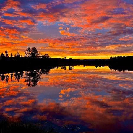 Burns Lake Bed And Breakfast Exteriör bild